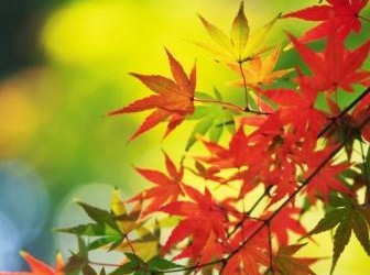 Taking Control of Your Finances after a Divorce