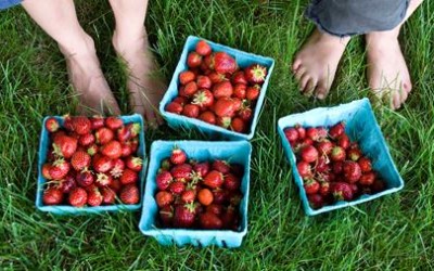 Choosing the right insurance for you